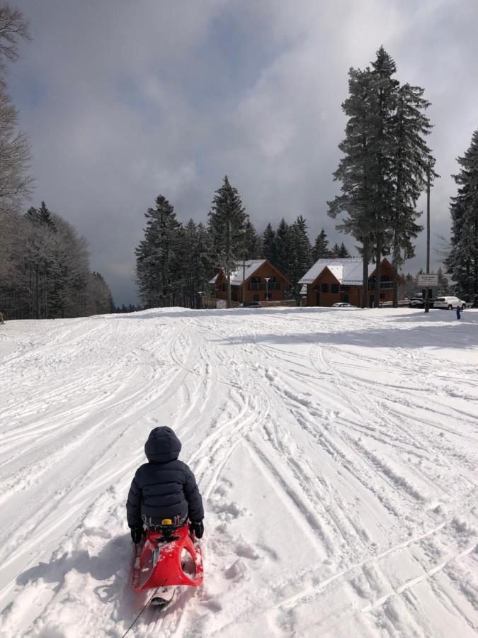 Chalet Anra Pohorje Zgornje Hoce Exteriér fotografie