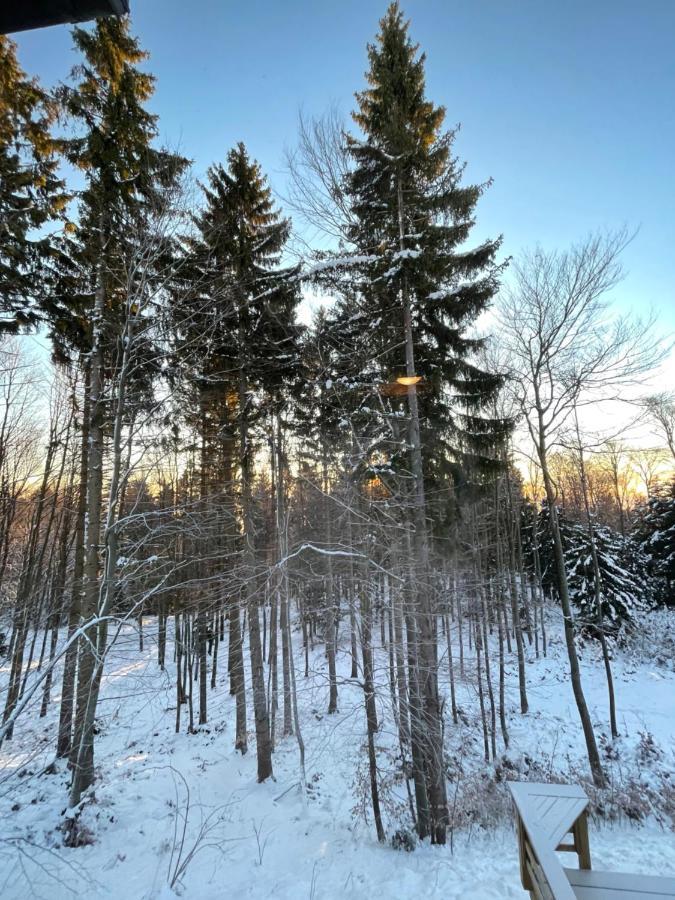 Chalet Anra Pohorje Zgornje Hoce Exteriér fotografie