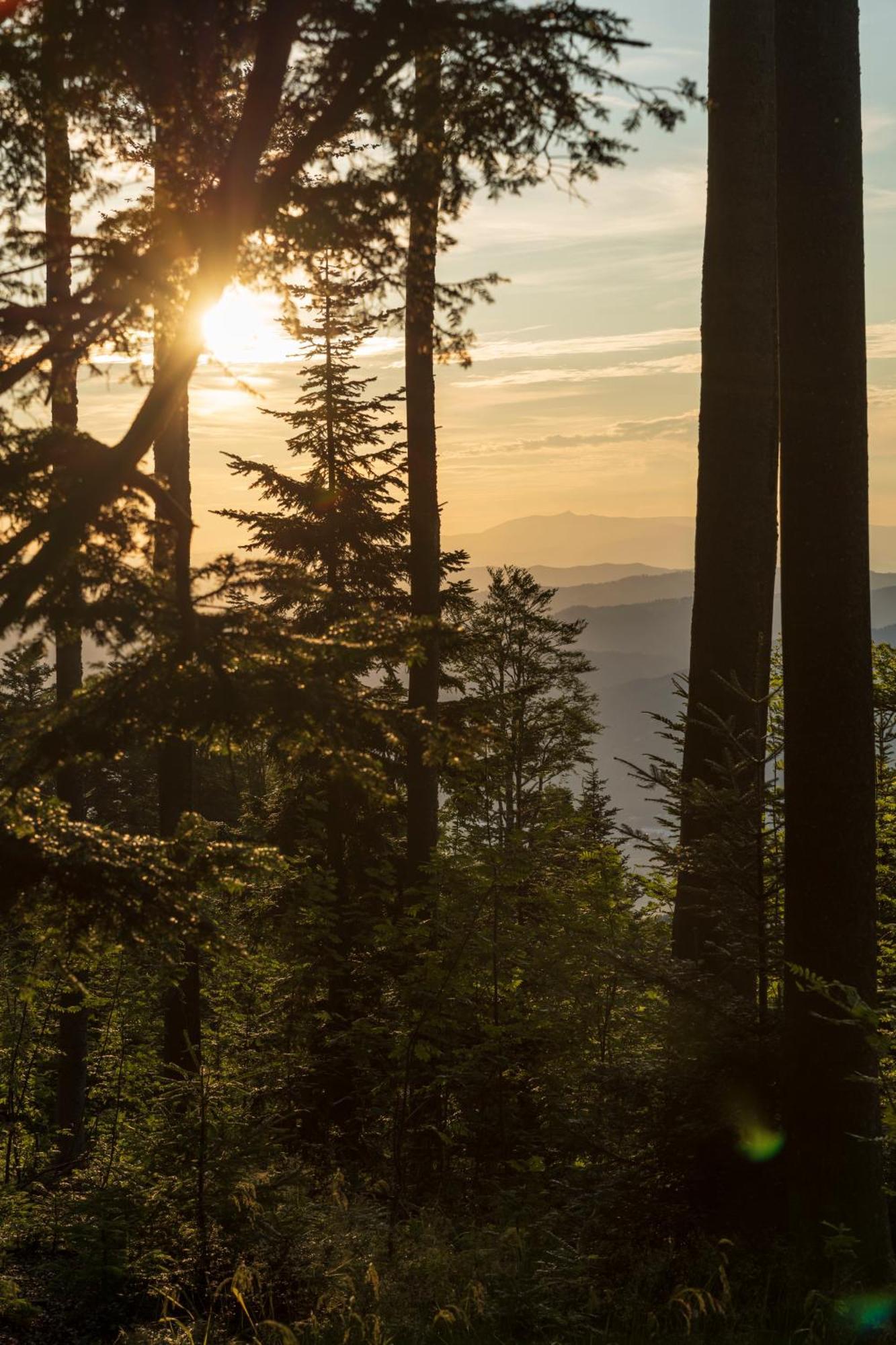 Chalet Anra Pohorje Zgornje Hoce Exteriér fotografie